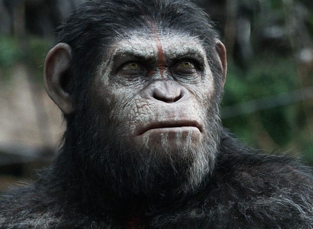 dawn-of-the-planet-of-the-apes-ss036-0180-159-1202-L-related