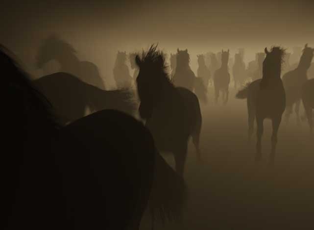 deepcomp-alvh-shots-test-002-5-relatedlink-header