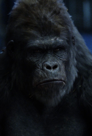 rise-of-the-planet-of-the-apes-am132-070-22gallery-desktop