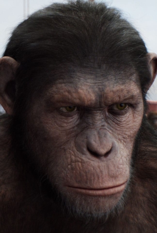 rise-of-the-planet-of-the-apes-apes-gg218-195-v181-0018-tiff