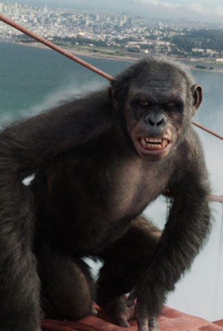 rise-of-the-planet-of-the-apes-apes-gg218-310-v286-0134-tiff